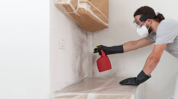 Professional Bathroom Mold Removal technician working in Hillsborough, NJ